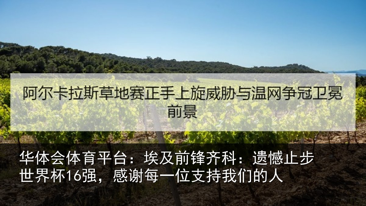 华体会体育平台：埃及前锋齐科：遗憾止步世界杯16强，感谢每一位支持我们的人