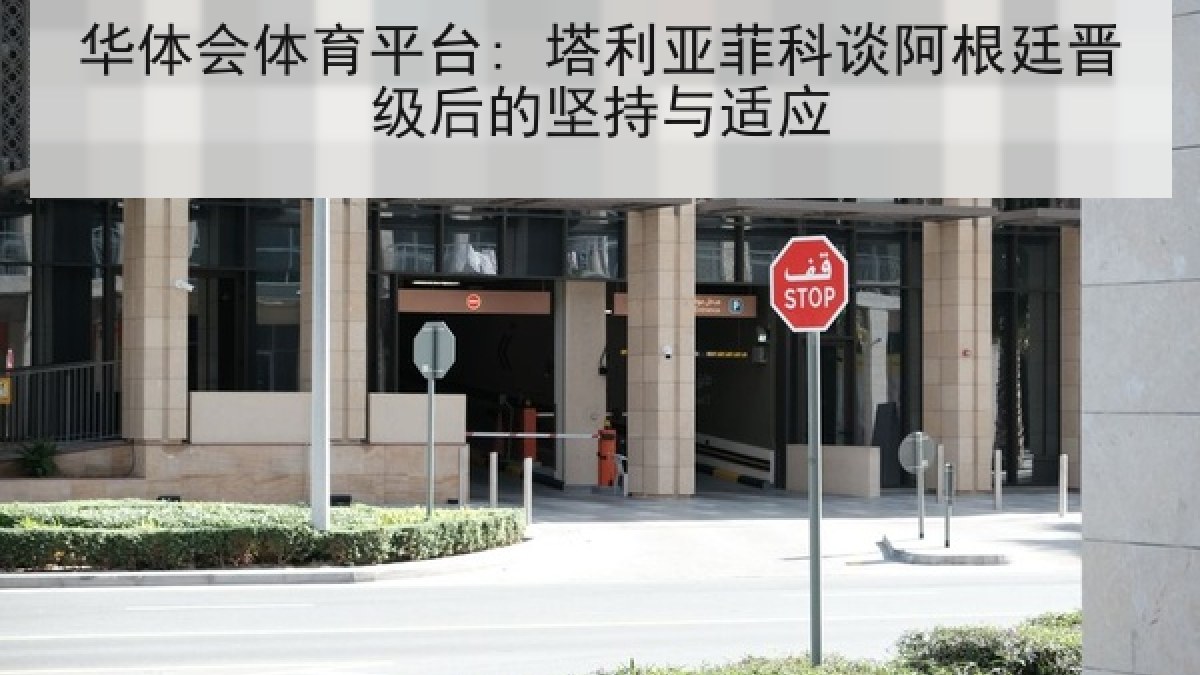 华体会体育平台: 塔利亚菲科谈阿根廷晋级后的坚持与适应