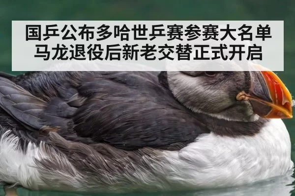 国乒公布多哈世乒赛参赛大名单 马龙退役后新老交替正式开启