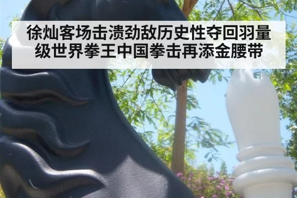 徐灿客场击溃劲敌历史性夺回羽量级世界拳王中国拳击再添金腰带